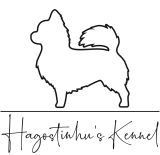 Hagostinhuskennel