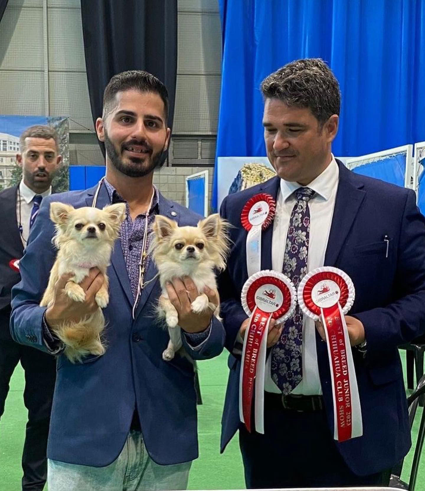hagostinhus-kennel.com