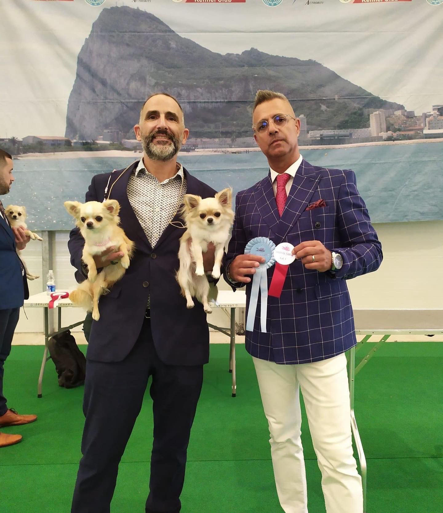 hagostinhus-kennel.com