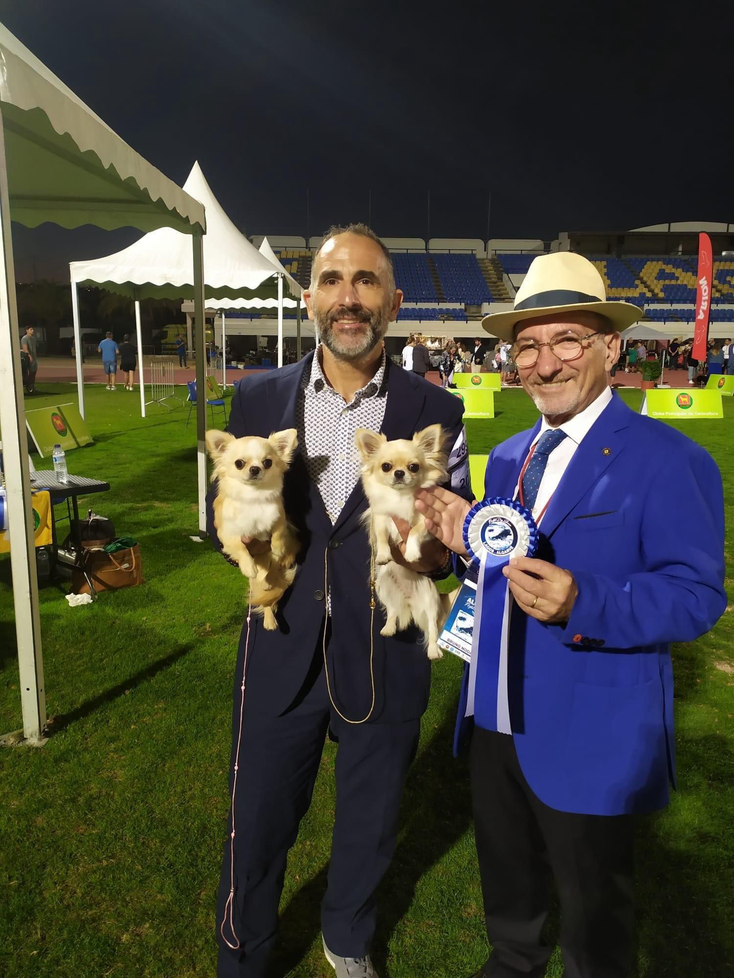 hagostinhus-kennel.com