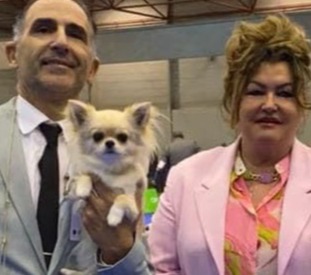hagostinhus-kennel.com